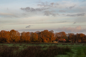 nature reserve in the netherlands westerwolde groningen (holle beetse vennekampen)