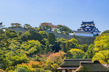 秋の彦根城と玄宮園　滋賀県彦根市　Autumn Hikone castle and Genkyuen Shiga-ken...
