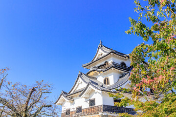 秋の彦根城　滋賀県彦根市　
Autumn Hikone castle Shiga-ken Hikone city