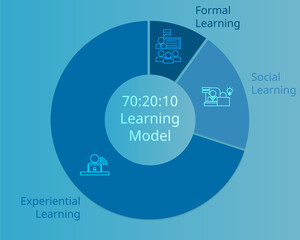 70:20:10 learning model in human resources vector