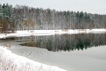 Early winter landscape with forest trees reflected in lake water