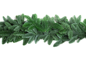 Christmas border of fir tree on white