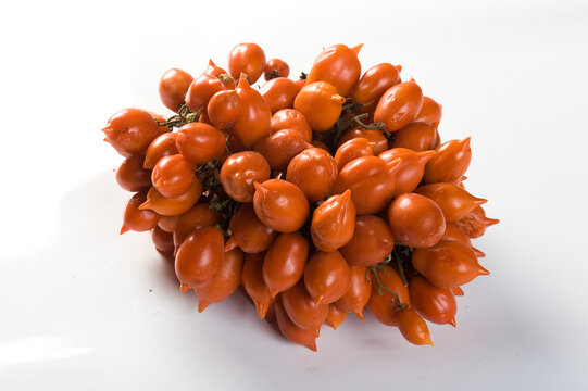 Piennolo tomato from Vesuvio area Campania Italy isolated on white background