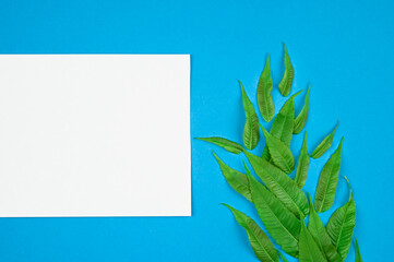 Green leaf ornament with blank card on blue table.