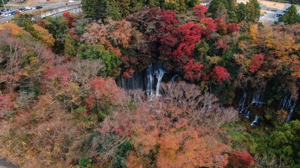 紅葉と白糸の滝