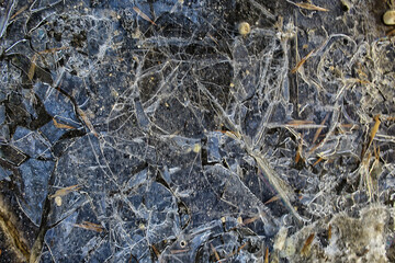cracked ice texture, abstract seasonal winter cold background, natural ice, broken ice on a lake