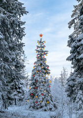 Christmas tree wallpaper 