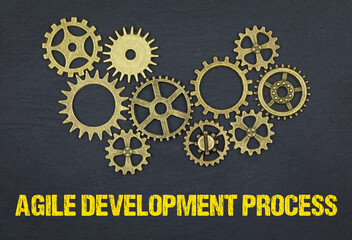 Agile Development Process