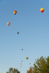 Fototapeta premium hot air balloon in the sky