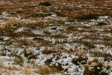 Beautiful landscape in the Carpathians