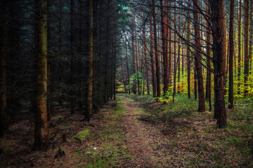 Obraz premium front line - Frontlinie