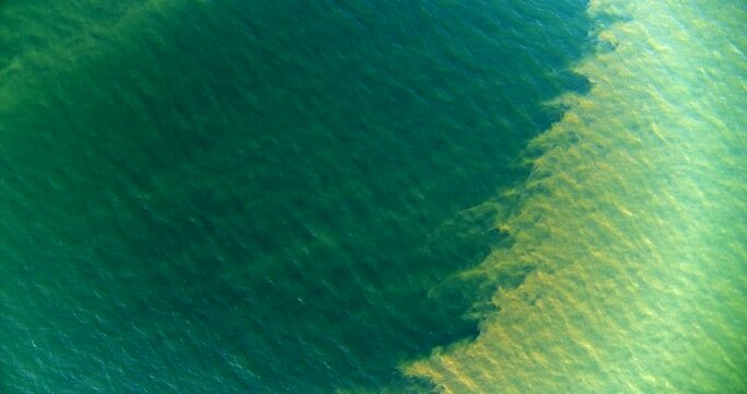 Aerial, Cyanobacteria Concentrations On Ocean Surface , Baltic Seav