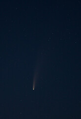 Nachthimmel mit Komet Neowise