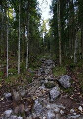 Altausseer See (Altausseersee) in Austria. Naturschutzgebiet Altaussee.