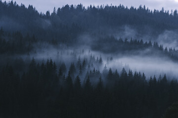 Obraz na płótnie Canvas Misty landscape in the Carpathians