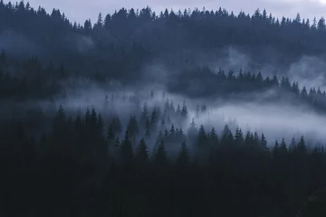 Fotobehang Misty landscape in the Carpathians © Iryna