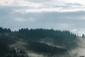 Door stickers Forest in fog Misty landscape in the Carpathians
