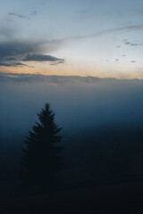 Misty landscape in the Carpathians