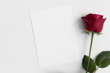 White invitation card mockup with a red rose. 5x7 ratio, similar to A6, A5.