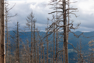 Beautiful landscape in the Carpathians