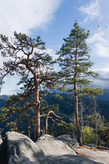 Beautiful landscape in the Carpathians