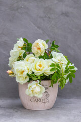Fototapeta na wymiar White garden roses in a bouquet on a gray background. Still life with white rosehip flowers in a vase. Selective focus