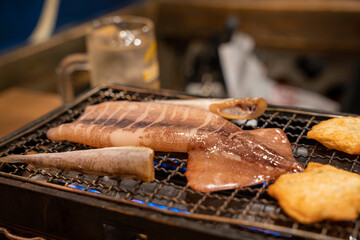 grilled meat on the grill