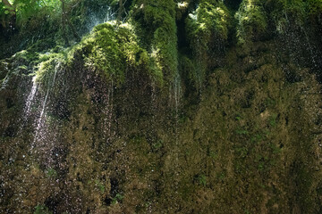 Senerchia waterfalls, WWF naturalistic oasis, in Campania, Salerno. View of the route, panoramas and details of nature.