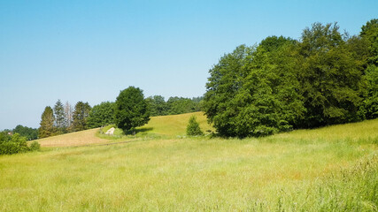 Hills, fields and meadows - beautiful landscape of Wiezyca.