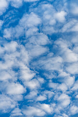 Obraz premium Blue sky with fluffy white clouds