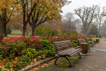 Fototapeta premium Mainzer Stadtpark im Herbst