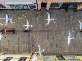 Birds in the city - obrazy, fototapety, plakaty