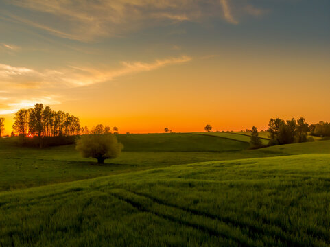 Rural landscape