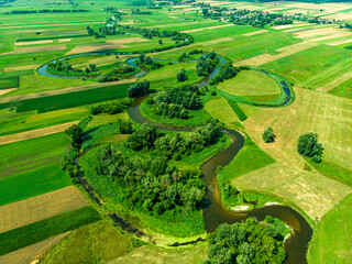 Bends of the Nida River - obrazy, fototapety, plakaty