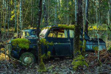 Mossy old british car abandoned in a forest in Sweden