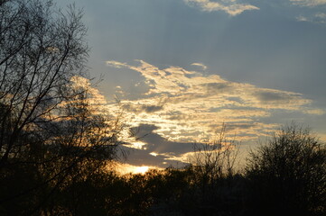 sunset in the forest