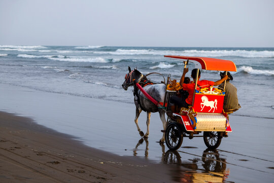 Delman or Dokar is a traditional vehicles that have been replaced by engines, can be found on the coast of Yogyakarta