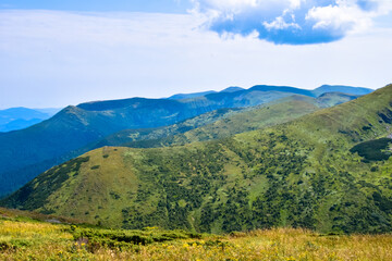 Obraz premium landscape in the summer