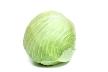 Fototapeta premium White cabbage on a white background