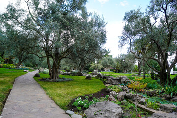 Scenic view of the park in the center of the big city in the summer. Beautiful park scene in public park with green grass field and green tree plant