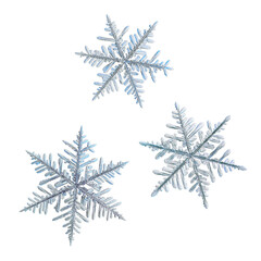 Three snowflakes isolated on white background. Macro photo of real snow crystals: elegant stellar...