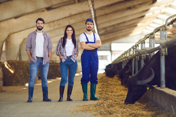 Group of happy young cattle farm workers standing in a livestock barn and smiling