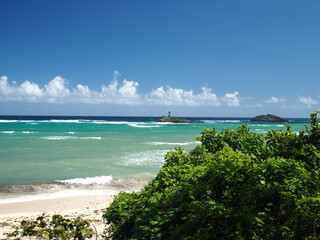 Sunny day at the beach. White sand and turquoise sea. Dominican Republic
