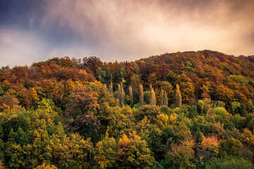 Autumn landscape in Dr&ocirc;me department, France.