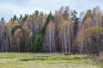 Fall landscape on the gloomy day