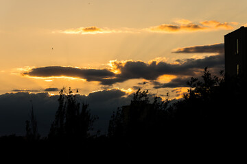 Sunrise business tower silhouette in Madrid