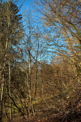 Wunderschöne Herbststimmung in Triesenberg in Liechtenstein 18.11.2020