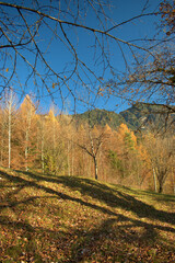 Fototapeta premium Wunderschöne Herbststimmung in Triesenberg in Liechtenstein 18.11.2020