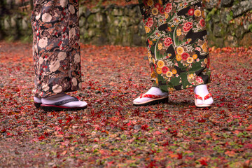 Japanese kimono in autumn background.