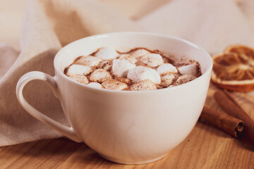 tasty sweet hot chocolate in a cup and mini marshmallows